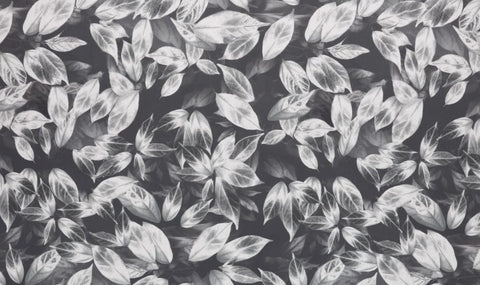 Velluto Collection | GIARDINO SLATE