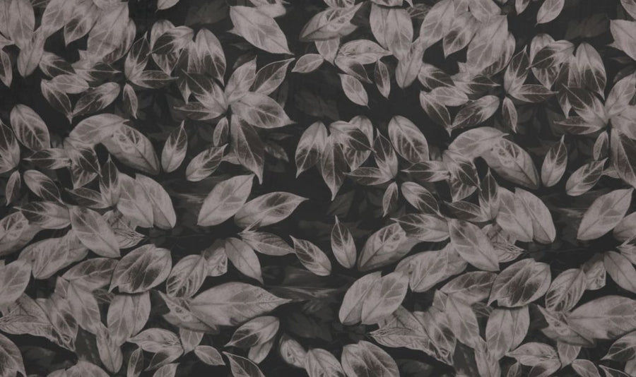 Velluto Collection | GIARDINO TRUFFLE
