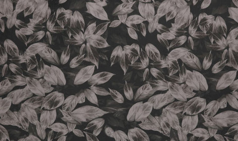 Velluto Collection | GIARDINO TRUFFLE