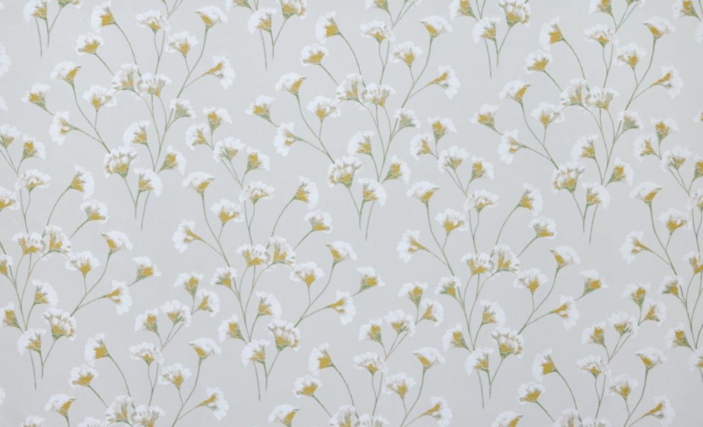 Palm House Collection | GINKGO MIMOSA