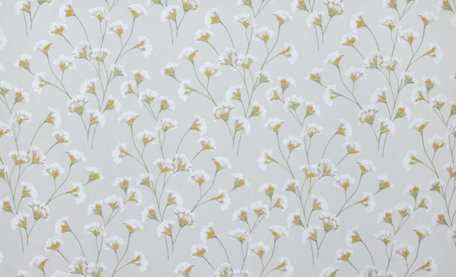 Palm House Collection | GINKGO MIMOSA