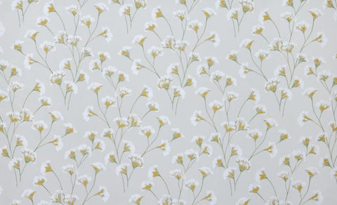 Palm House Collection | GINKGO MIMOSA