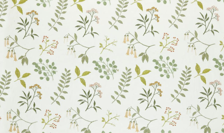 Palm House Collection | GLORIOSA KIWI