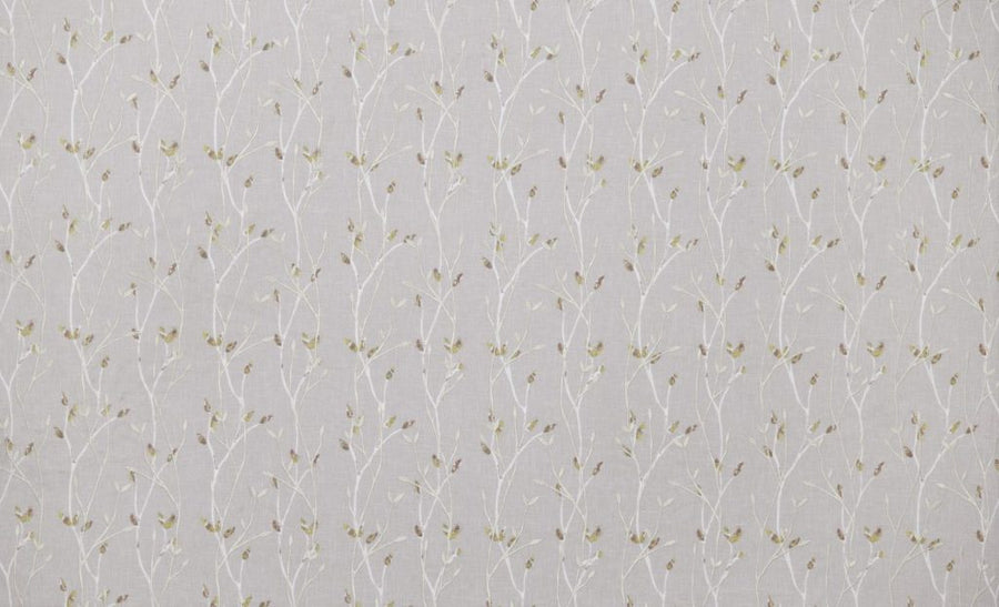 Chantilly Collection | IVY PEBBLE