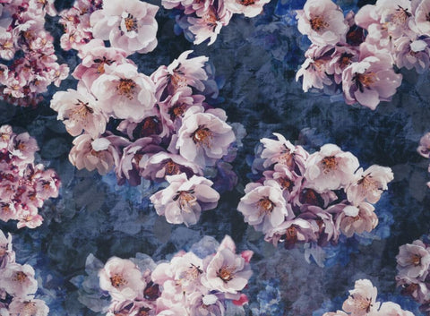 Velluto Collection | JOLANDA AMETHYST