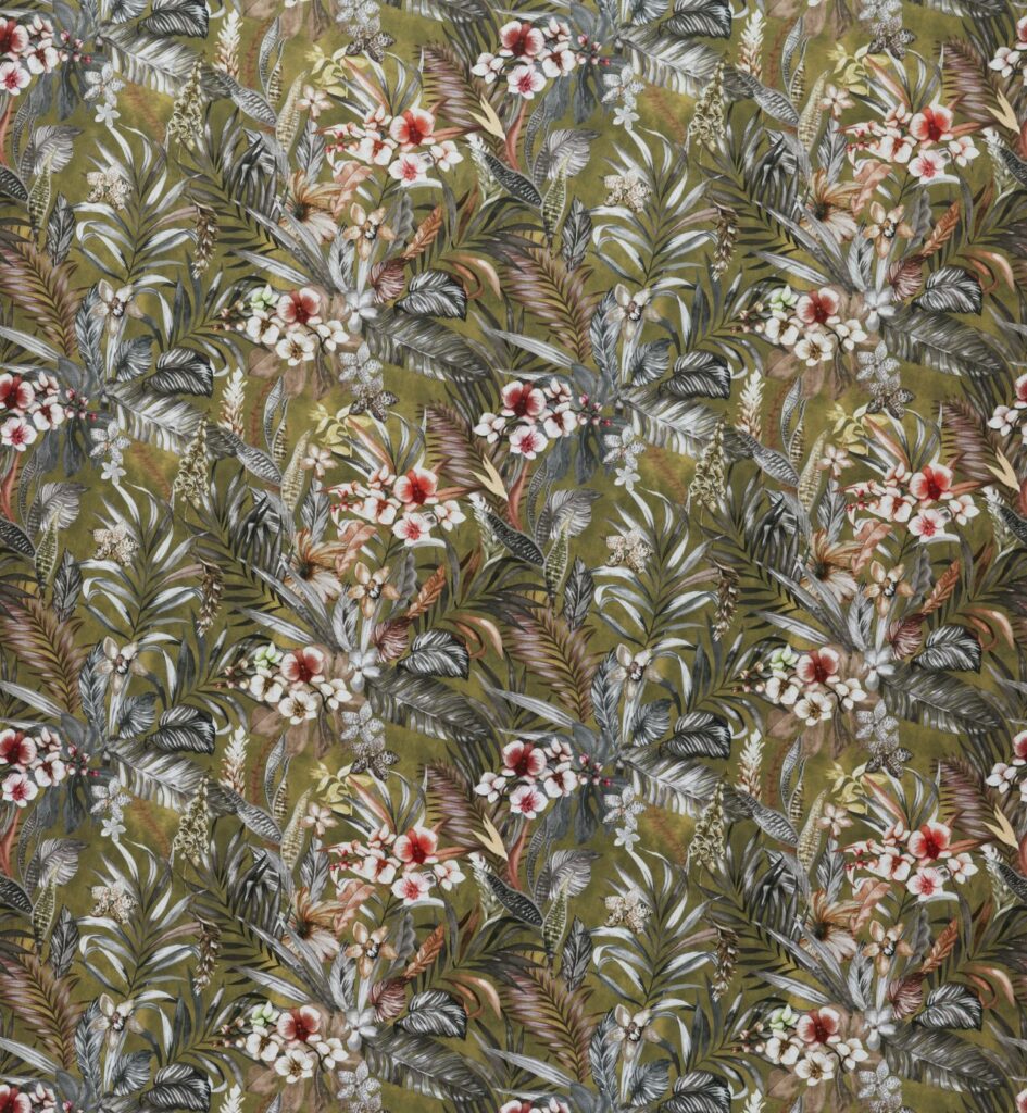 Tahiti Collection | KEW OLIVE