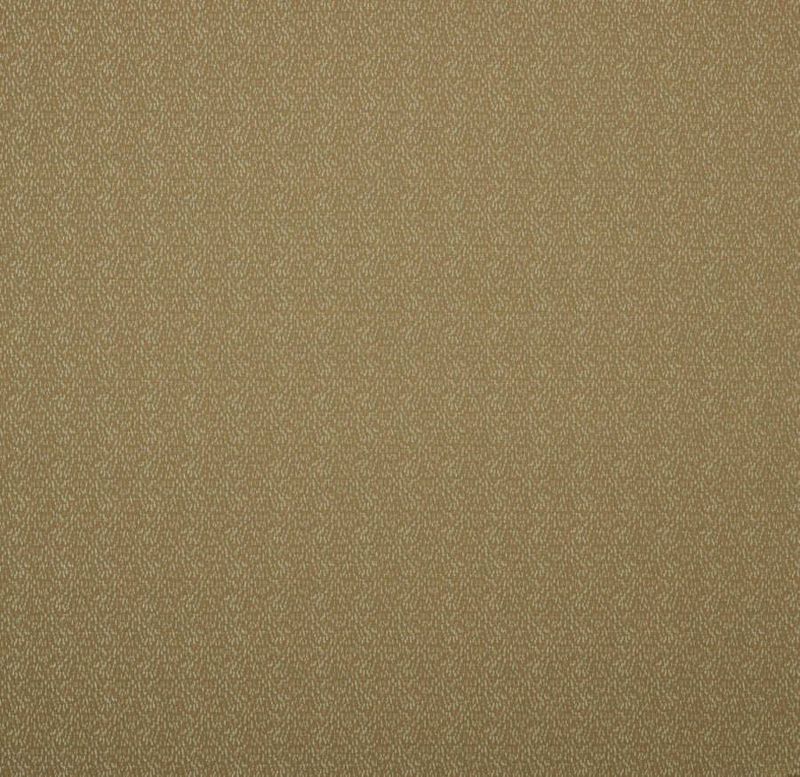 Visage Collection | LANUX BRONZE