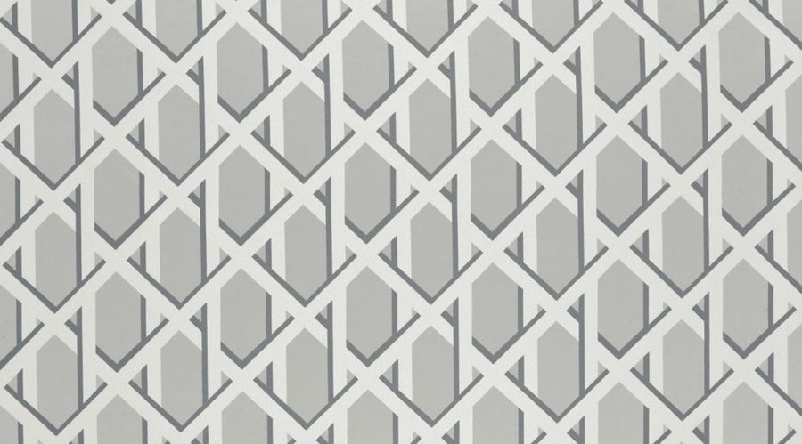 Palm House Collection | LATTICE DOVE