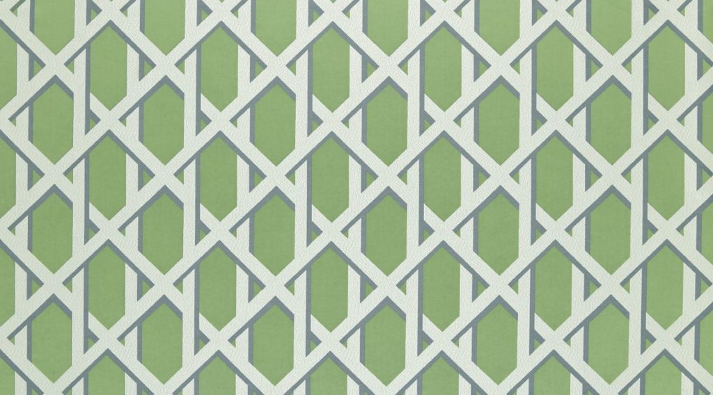 Palm House Collection | LATTICE KIWI