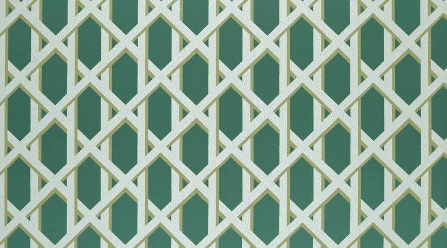 Palm House Collection | LATTICE SPA