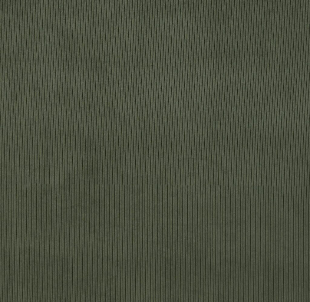 Portofino Collection | LUCIO FERN