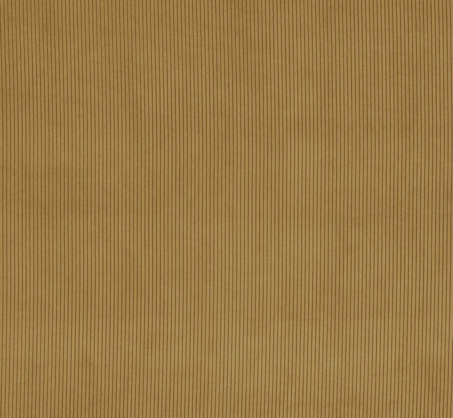 Visage Collection | LUCIO MUSTARD