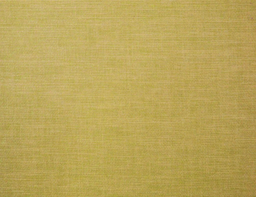 Hampstead Collection | LUNAR BUTTERCUP