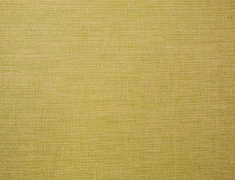 Hampstead Collection | LUNAR BUTTERCUP