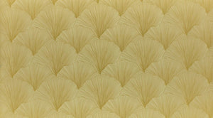 Palm House Collection | MAIDENHAIR MIMOSA
