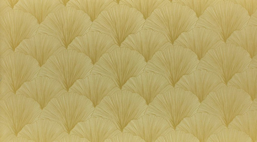 Palm House Collection | MAIDENHAIR MIMOSA
