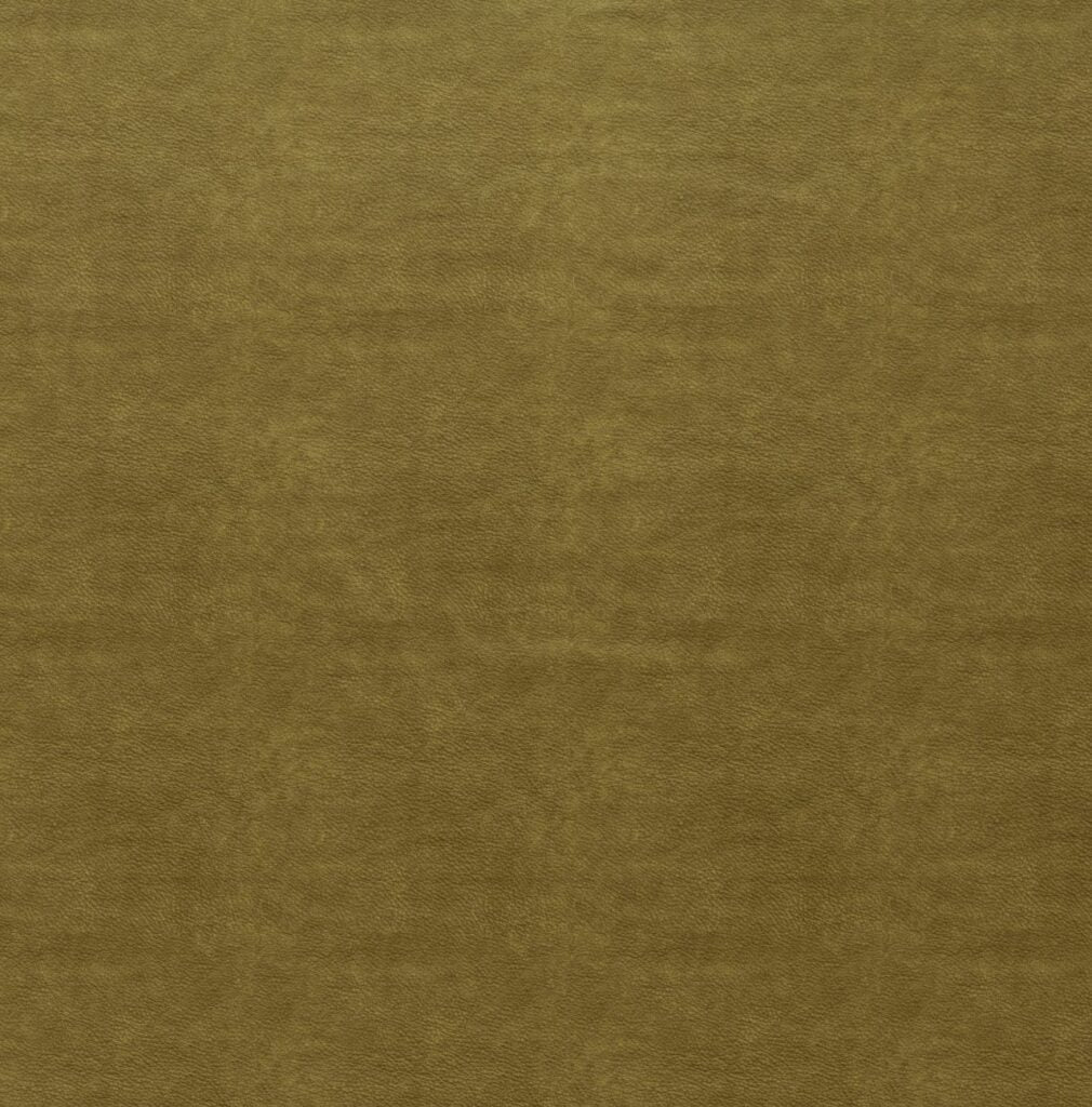 Tahiti Collection | MARINA OLIVE