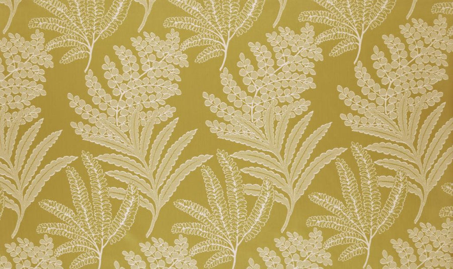 Palm House Collection | MAXIBEL MIMOSA