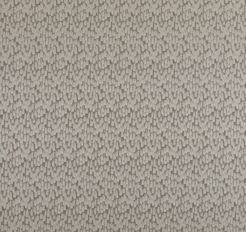 Comet Collection | METEOR CHAMPAGNE