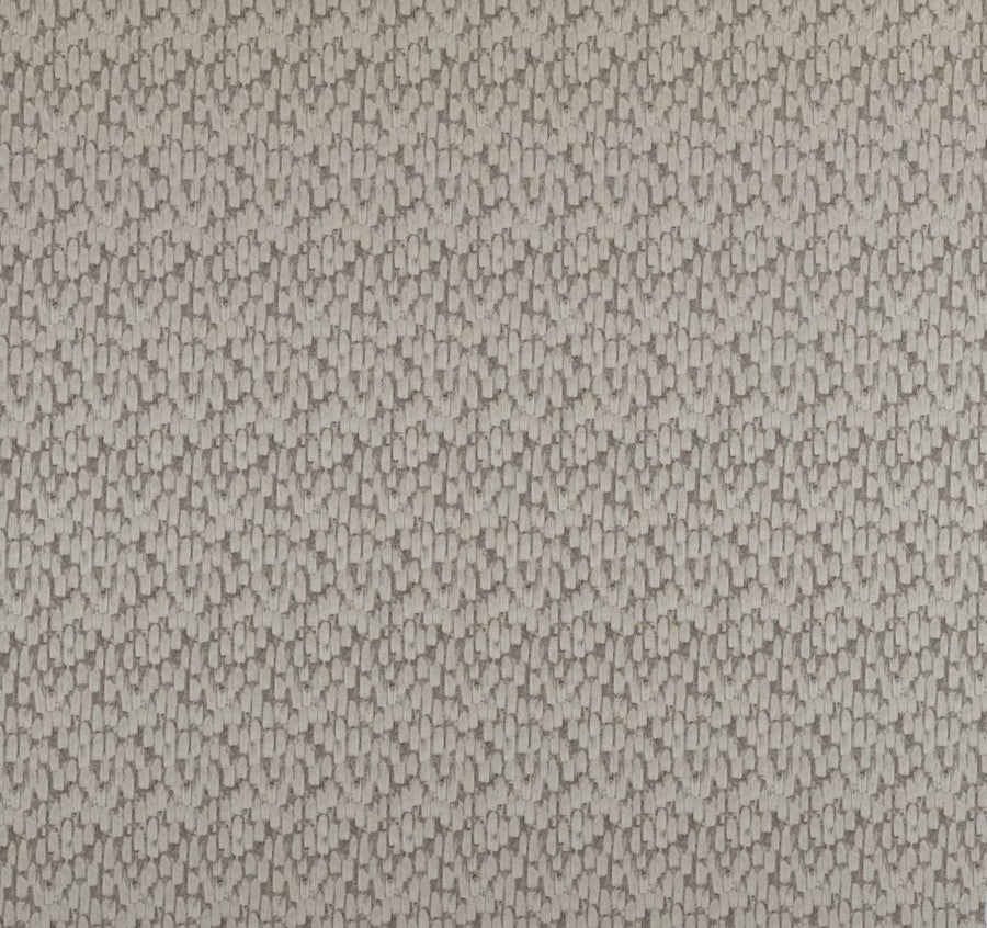 Comet Collection | METEOR CHAMPAGNE