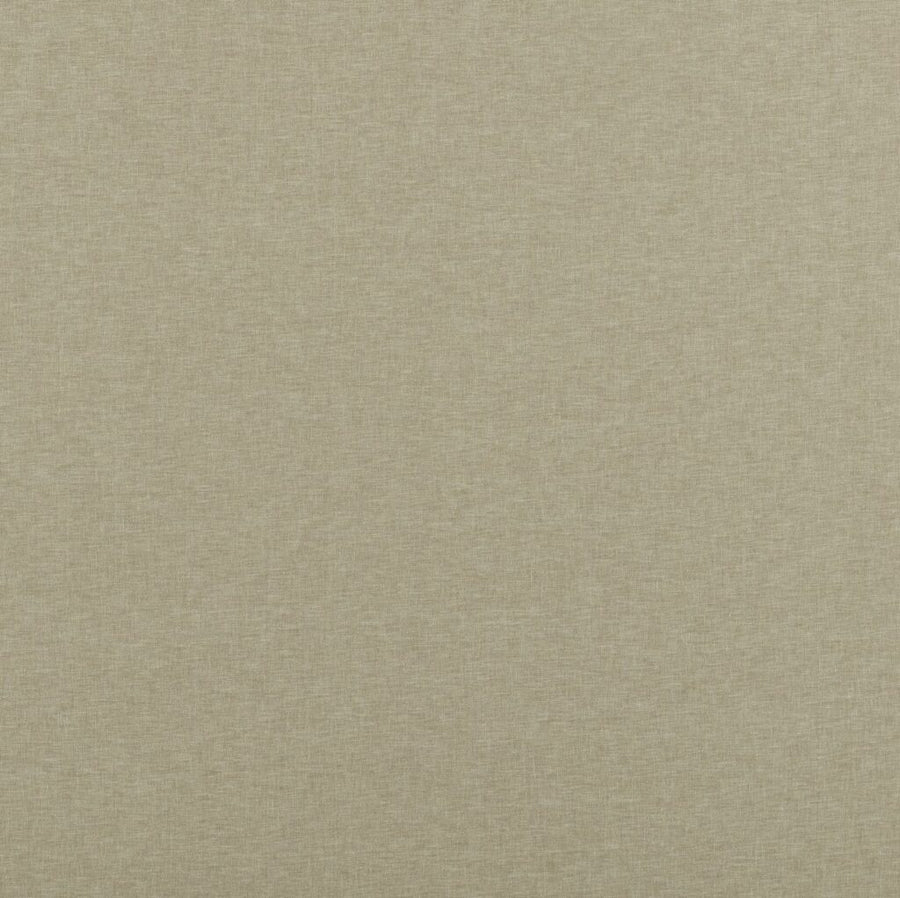 Comet Collection | NORMA GOLD