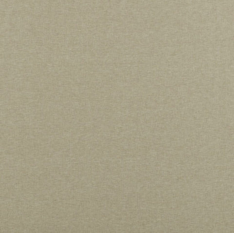Comet Collection | NORMA GOLD