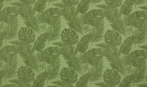 Palm House Collection | PALMETTO KIWI
