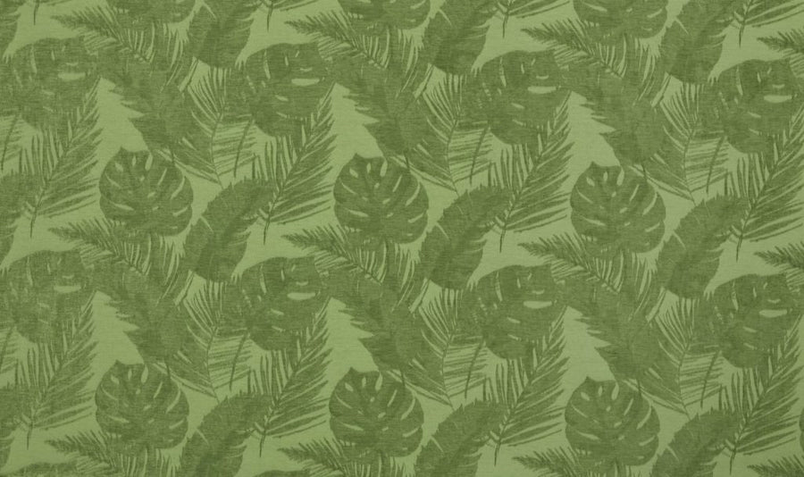 Palm House Collection | PALMETTO KIWI