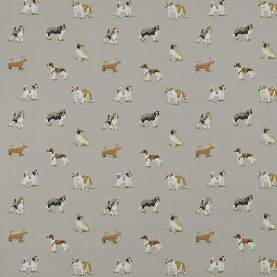 Belvoir Collection | RORA CARAMEL