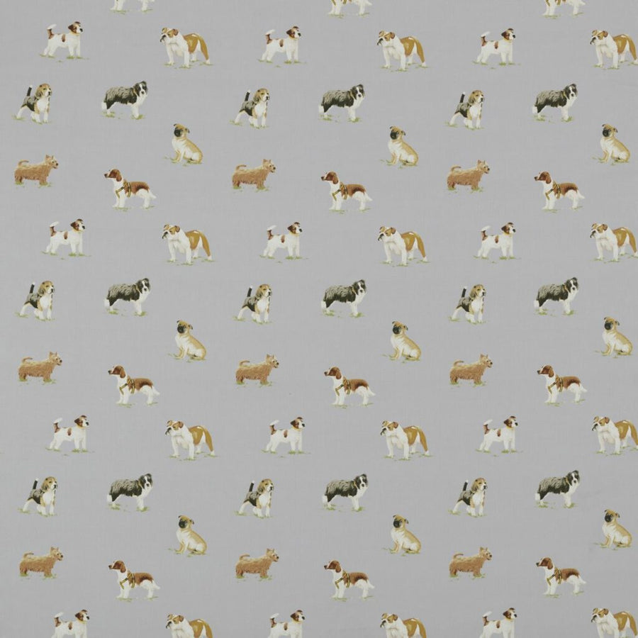 Belvoir Collection | RORA HAZE