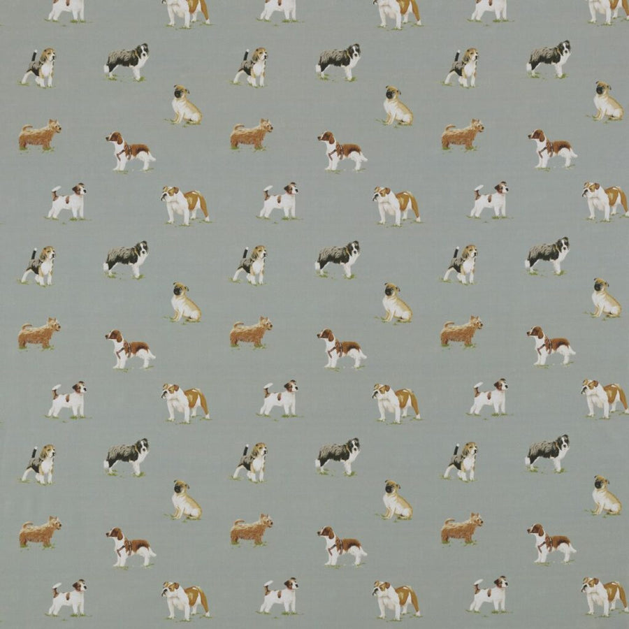 Belvoir Collection | RORA SAGE