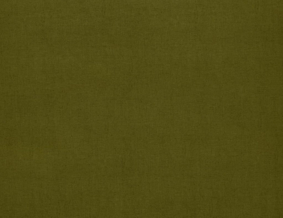 Belvoir Collection | SALUZZO MOSS