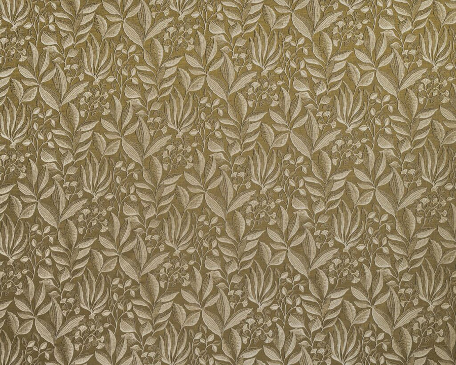 Provence Collection | SEMILLION OCHRE