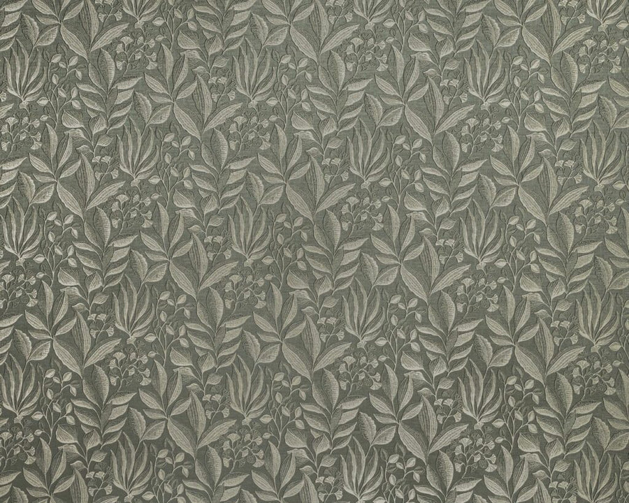 Provence Collection | SEMILLION SAGE