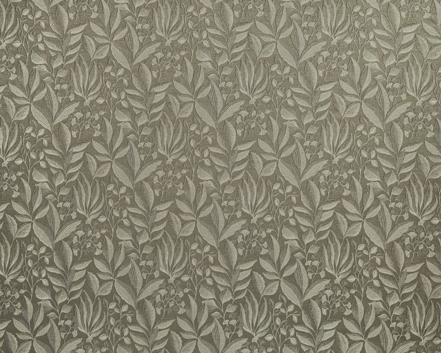 Provence Collection | SEMILLION TRUFFLE