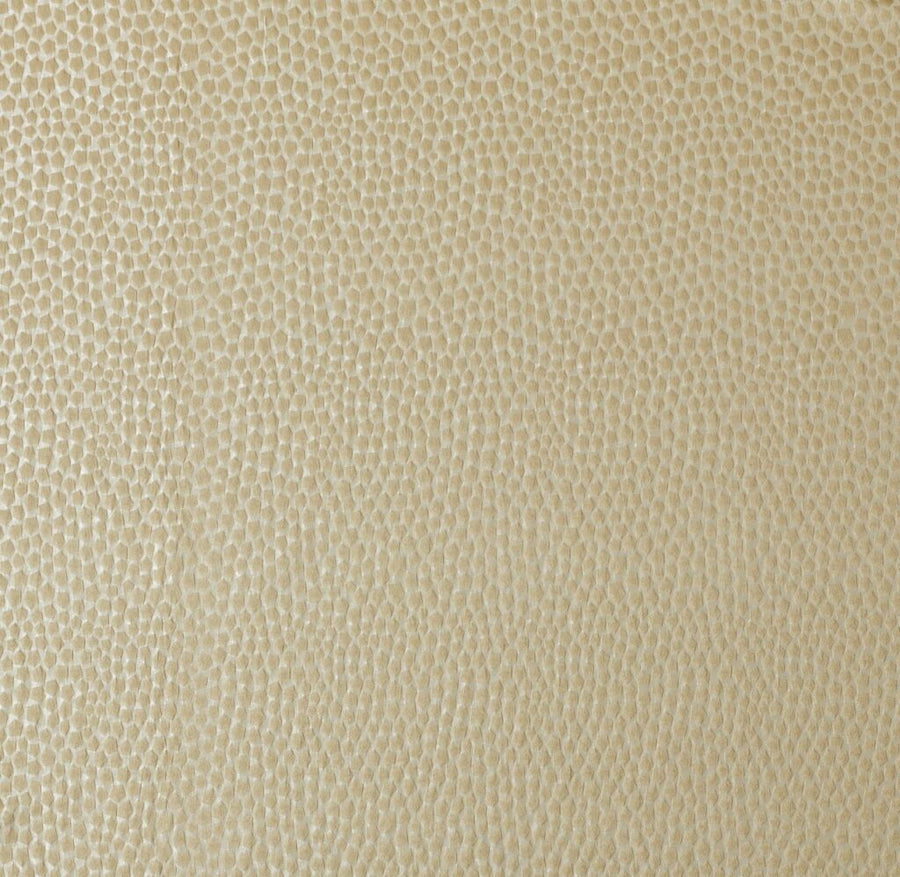 Comet Collection | TAURUS GOLD