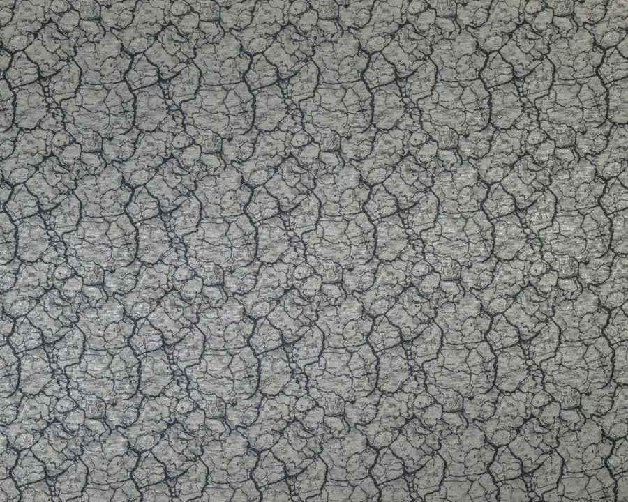 Diffusion Collection | TECTONIC FOSSIL