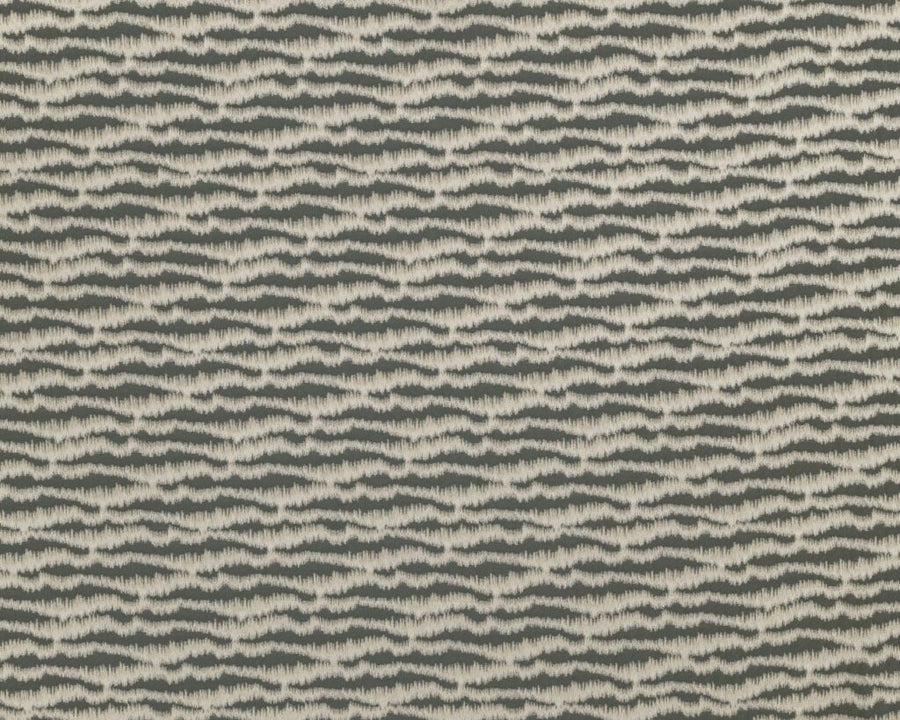 Diffusion Collection | TORRENT FOSSIL